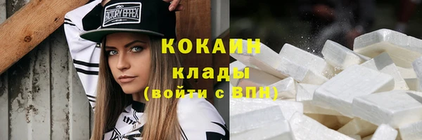 ГАЛЛЮЦИНОГЕННЫЕ ГРИБЫ Белокуриха