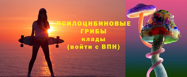 ГАЛЛЮЦИНОГЕННЫЕ ГРИБЫ Белокуриха
