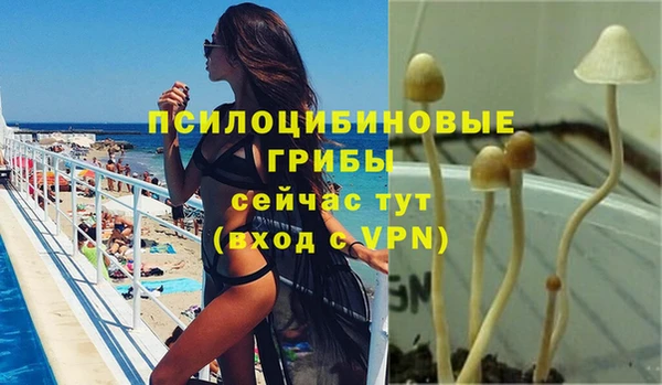 соль ск Беломорск
