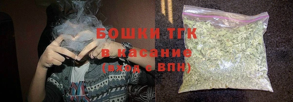 ГАЛЛЮЦИНОГЕННЫЕ ГРИБЫ Белокуриха