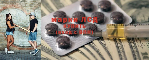 ГАЛЛЮЦИНОГЕННЫЕ ГРИБЫ Белокуриха