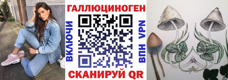 сайты даркнета телеграм  дарнет шоп  Кушва  Галлюциногенные грибы мухоморы 