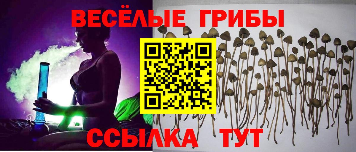 Кушва  Псилоцибиновые грибы Psilocybe  Вход с VPN  Псилоцибиновые грибы мухоморы 